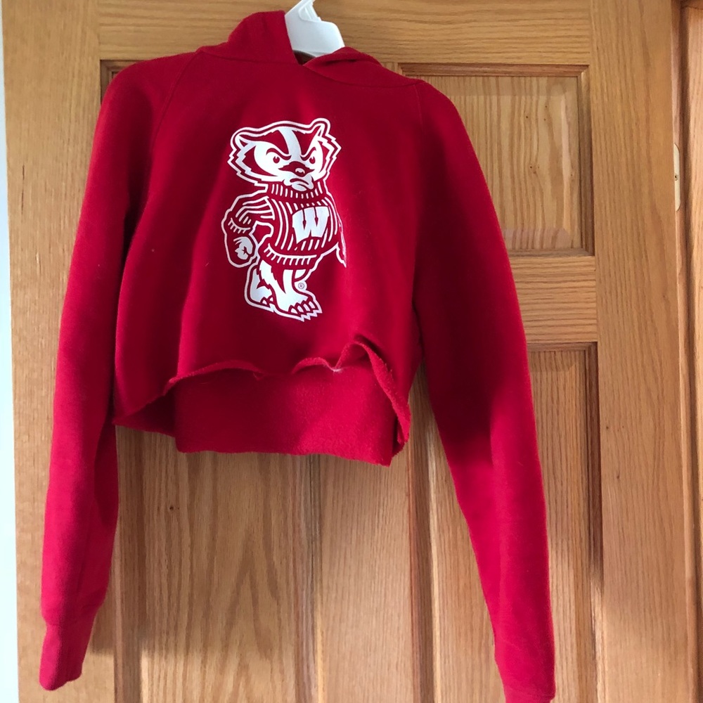 Cropped UW Madison Badger Sweatshirt